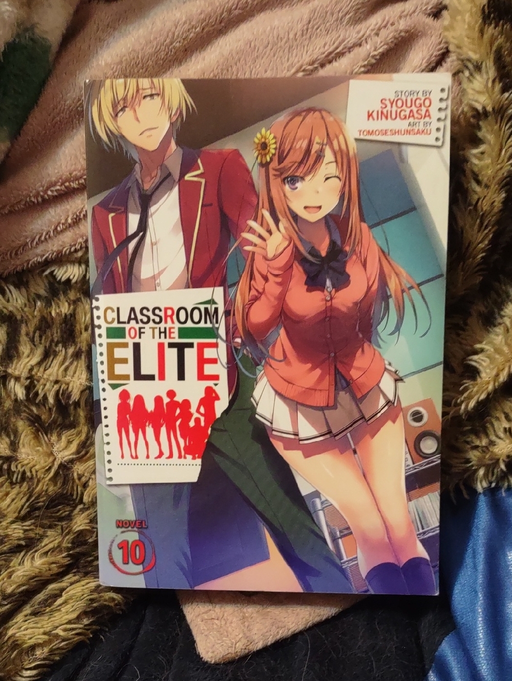 Classroom of the Elite Light Novel Volume 10